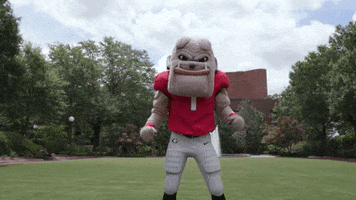 College Football GIF by University of Georgia