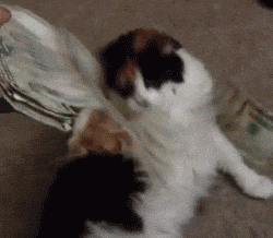 Watching Make It Rain GIF - Find & Share on GIPHY