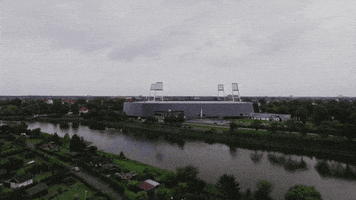 200.gif?cid=fc005b08cfe82ec39624278e439113f9d054dea7981388e9&rid=200.gif&ct=g