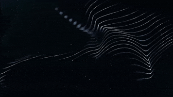 lines