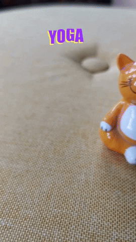 Praxis Sonnenseite Frey & Frey GbR GIF