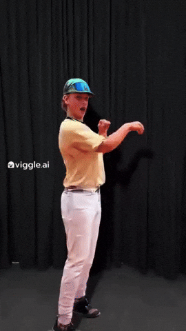 Baseball Furniture GIF
