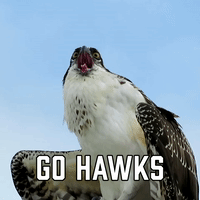 Atlanta Hawks GIFs - Get the best GIF on GIPHY