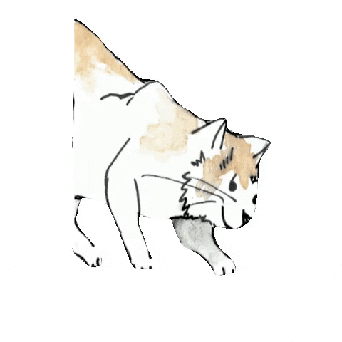 GIF by Gut Berg Naturhotel