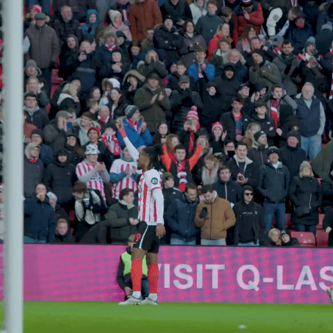 Sport Bow GIF by Sunderland AFC