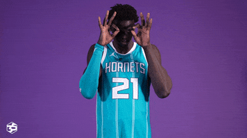 Basketball Score GIF by Charlotte Hornets
