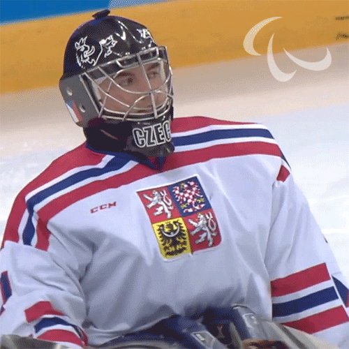 Ice Hockey Paralympics GIF by International Paralympic Committee