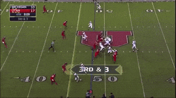 Touchdown Utah GIF