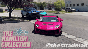 Svj GIF by TheHamiltonCollection