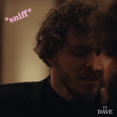 You Stink Fx Networks GIF by DAVE