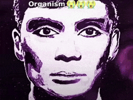 Reaction Image Oppenheimer GIF