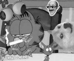 Mlg GIF