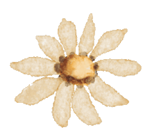 Smalllife Sticker
