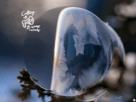200.gif?cid=fc005b08baacc3edc904f1a56076206d99b2a56f24dd2d5c&rid=200.gif&ct=g