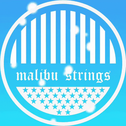 Malibustrings bikini malibu strings malibustrings GIF