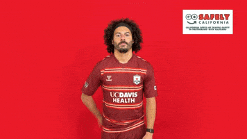 Republicfc Sacrepublic GIF by Sacramento Republic FC