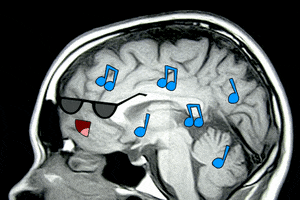 your brain on music pri GIF