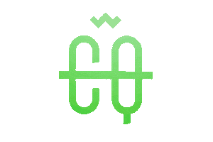 Crash Queens Sticker