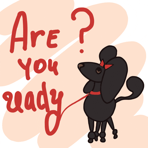 Are You Ready Waiting GIF