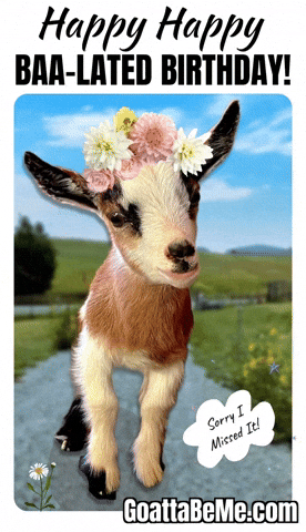 Happy Birthday GIF by Goatta Be Me Goats! Adventures of Java, Toffee, Pumpkin and Cookie!