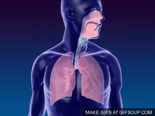 Body Out Of Breath GIF - Find & Share on GIPHY