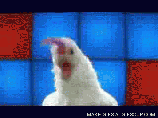 giphy.gif
