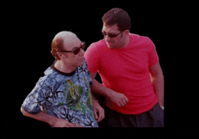 Sinefesto GIF