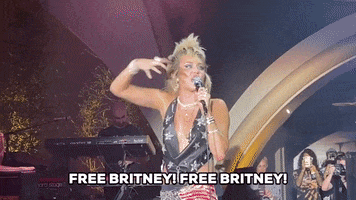 Britney Spears Concert GIF by Storyful