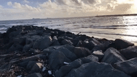 Storm Dumps Garbage Along California's Seal Beach