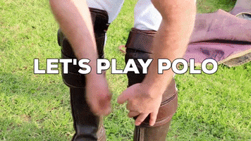 Triskelion Polo Club GIF