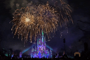 Disney World Fireworks GIF by Nikki Elledge Brown