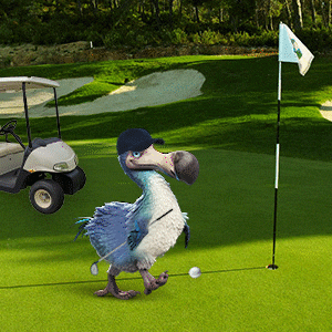 Hole In One Golf GIF by Dodo Australia