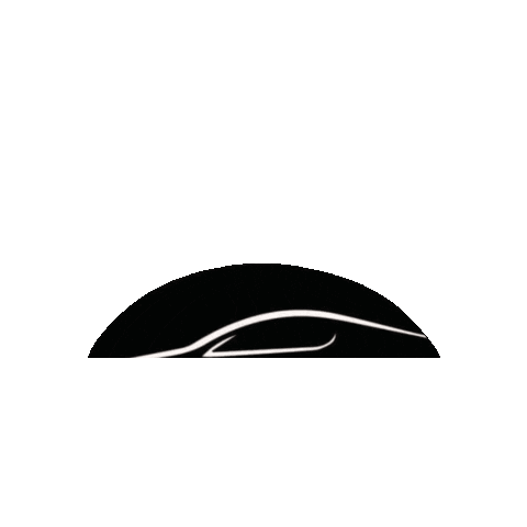 MM Race Cars Sticker