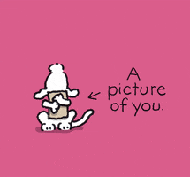 I Love You Pics GIF by Chippy the Dog