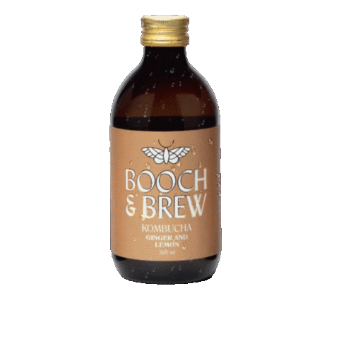 Booch & Brew Kombucha Sticker