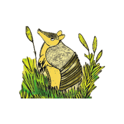 Colombia Fauna Sticker by Fundación Omacha