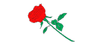 Fashion Rose Sticker by Vertere Berlin