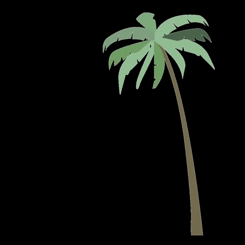 Palm Tree Beach GIF by Yellowoflagos