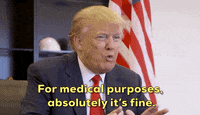 Donald Trump Weed GIF by Election 2020