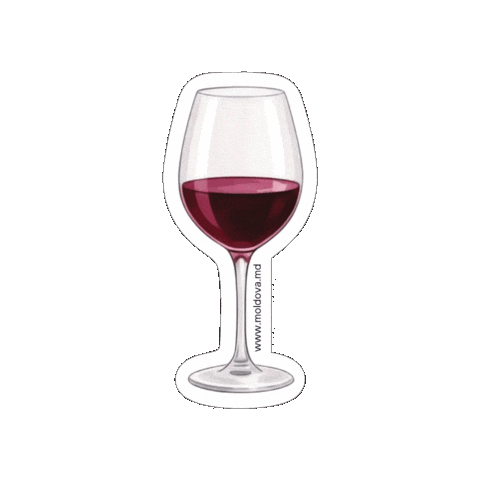 Wine Vin Sticker by Invest Moldova