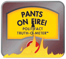 PolitiFact politics fake false factcheck GIF