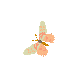200w.gif?cid=ecf05e472ubp77ns62nitydw5r9