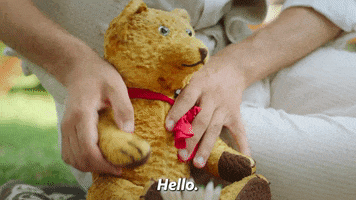 Teddy Bear Hello GIF by PBS