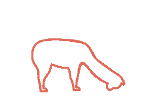 Thierra Nuestra Sticker