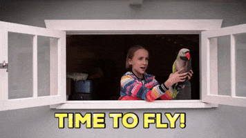 Single Parents Time To Fly GIF by ABC Network
