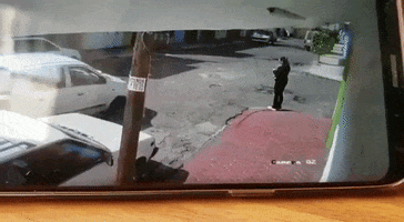 Animated GIF