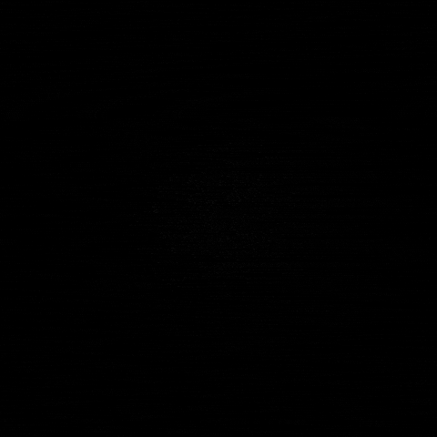 Suar GIF by Shut Up & Ride