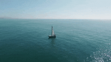 Marine Super Store GIF