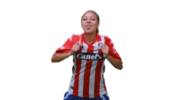 San Luis Soccer Sticker by Atlético de San Luis