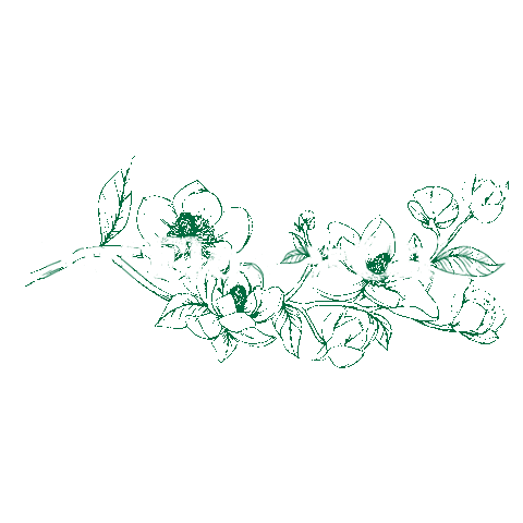 Sticker by Fox Restaurant Concept | Flower Child